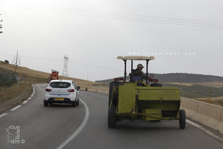 Le temps des Petites et grandes moissonneuses bateuses (Wilaya Sidi Belabbes)