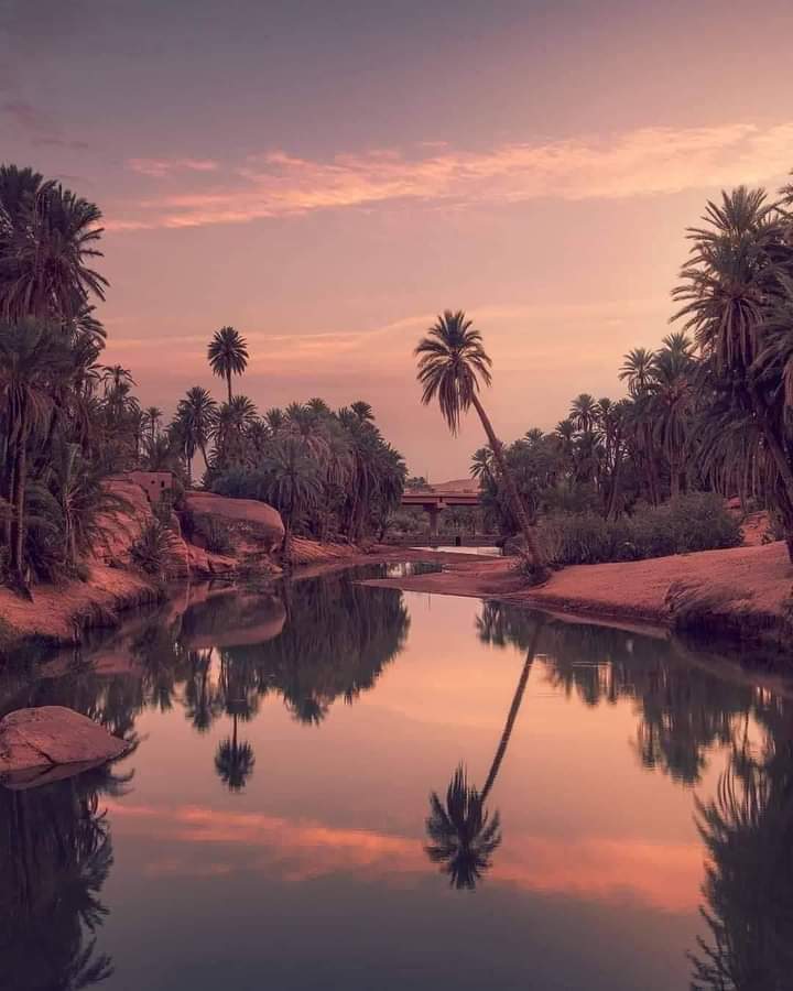 Oasis de Moghrar Tahtani