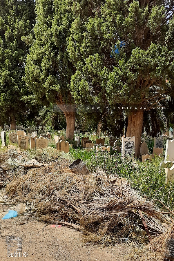 Vétusté du cimetière de Sidi Senoussi à Tlemcen