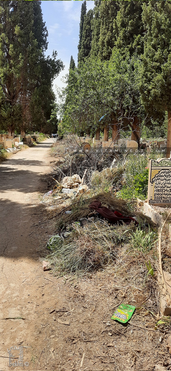 Tlemcen.. Le cimetière de Sidi-Senouci en piteux état