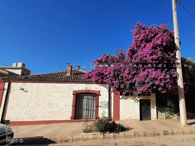 Jolie maison de style colonial à Tlemcen