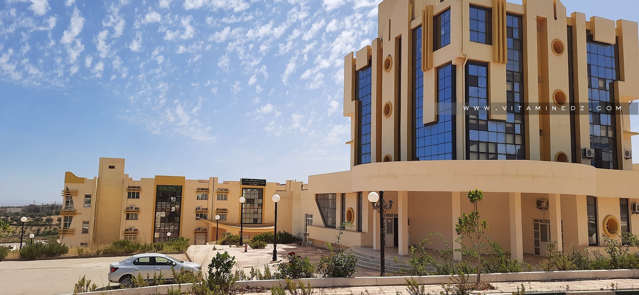 C.E.I.L : Département des langues étrangères