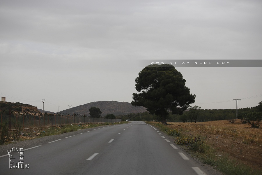 Sidi Bel Abbès : 90 hectares pour la création de forêts récréatives