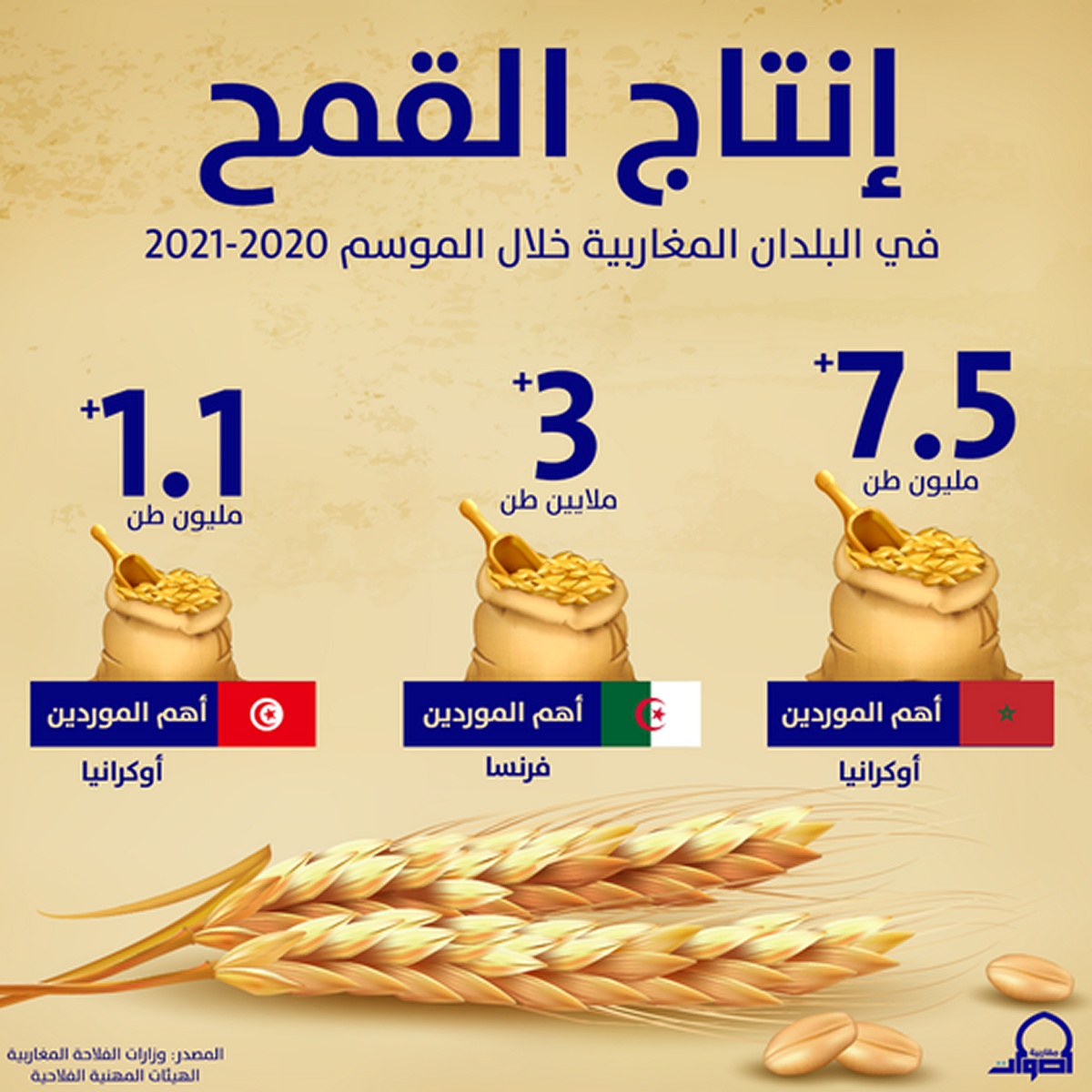 هذا إنتاج البلدان المغاربية من القمح خلال الموسم 2020-2021