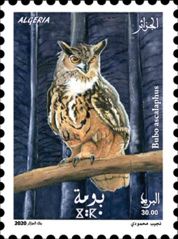 Timbre poste Algérie : 2020 Oiseaux