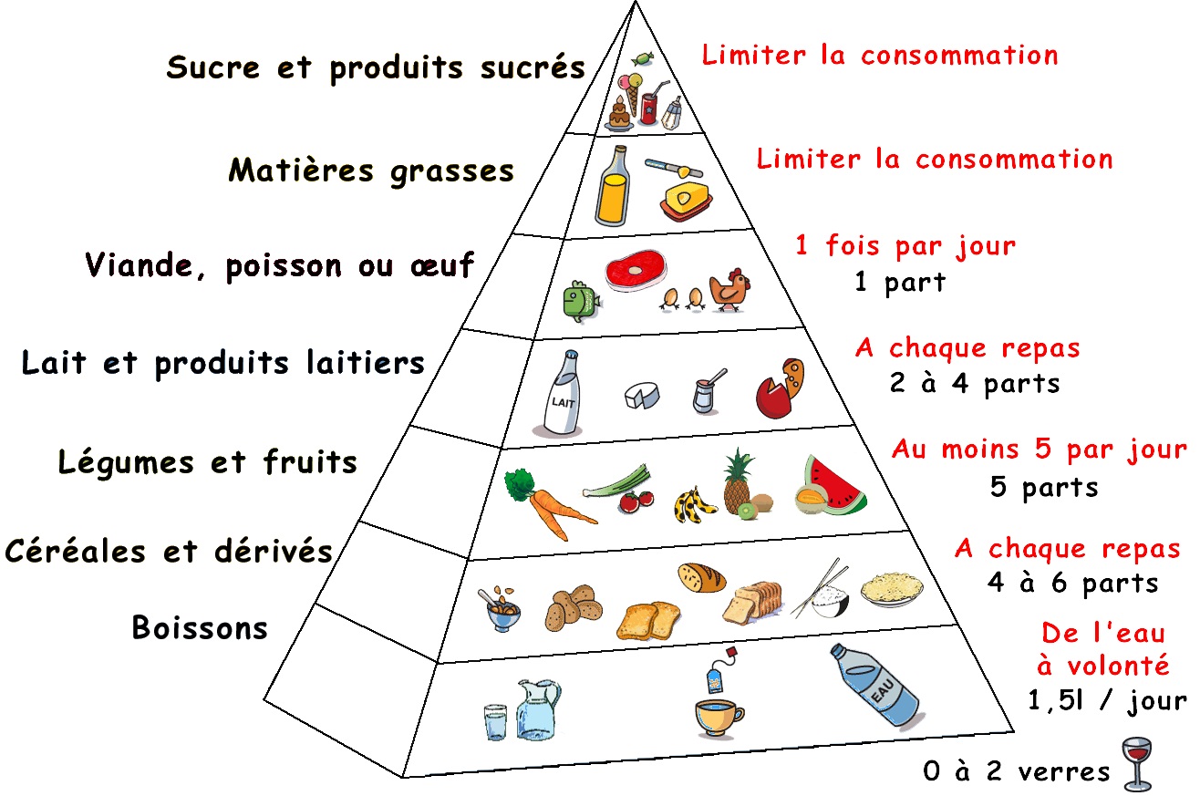 pyramide alimentaire