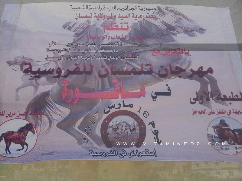 Festival équestre à Magoura, Tlemcen