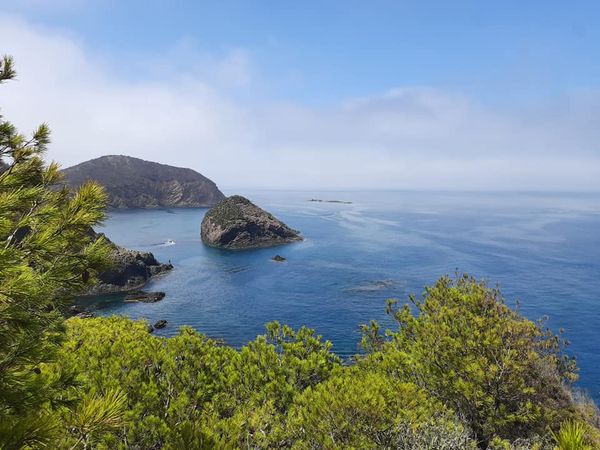 شلف #بني_حوى الدومية