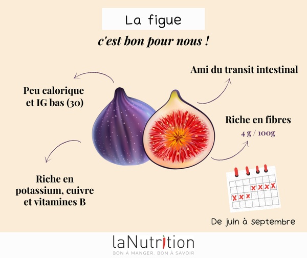 La figue fraîche est disponible sur le marché entre la mi-juin et le début du mois de novembre, avec une période creuse entre la fin juillet et la mi-août.