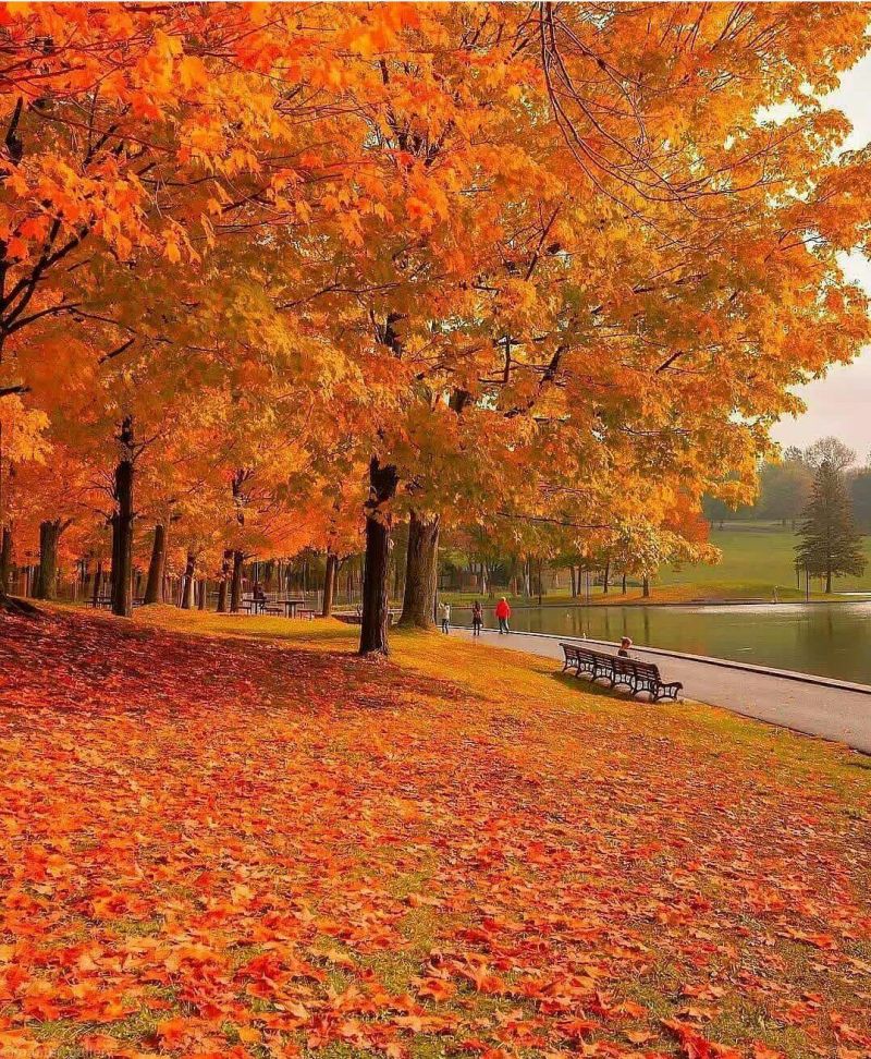 Il suffit de lâcher prise...