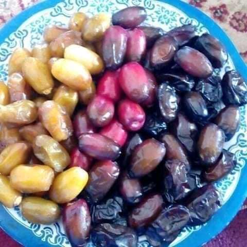أصناف التمور الجزائرية تغزو العالم تعرف على أشهرها