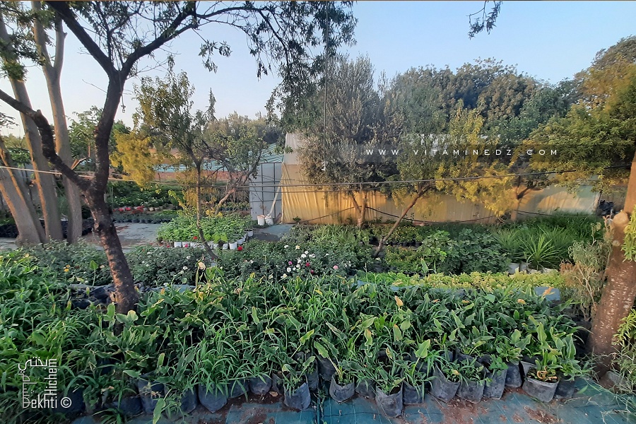 Pépinière la Gare routière