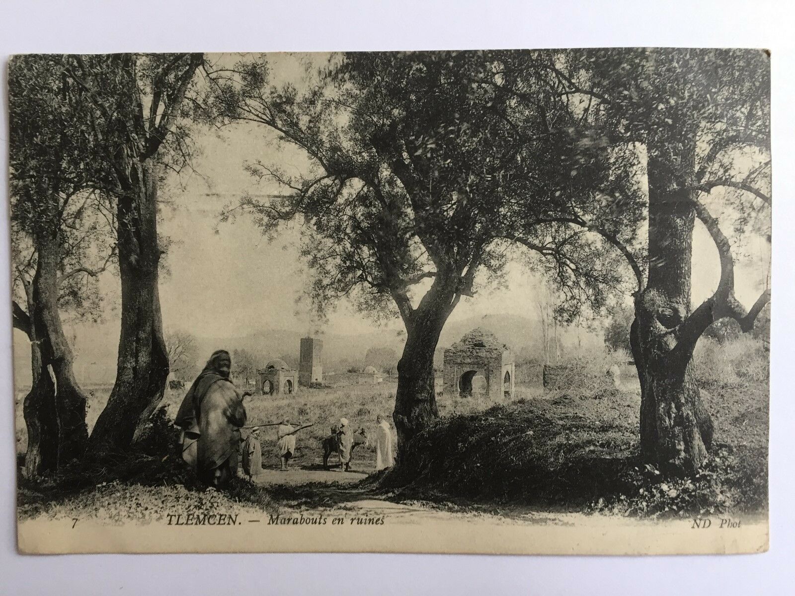Tlemcen - Marabouts en ruines