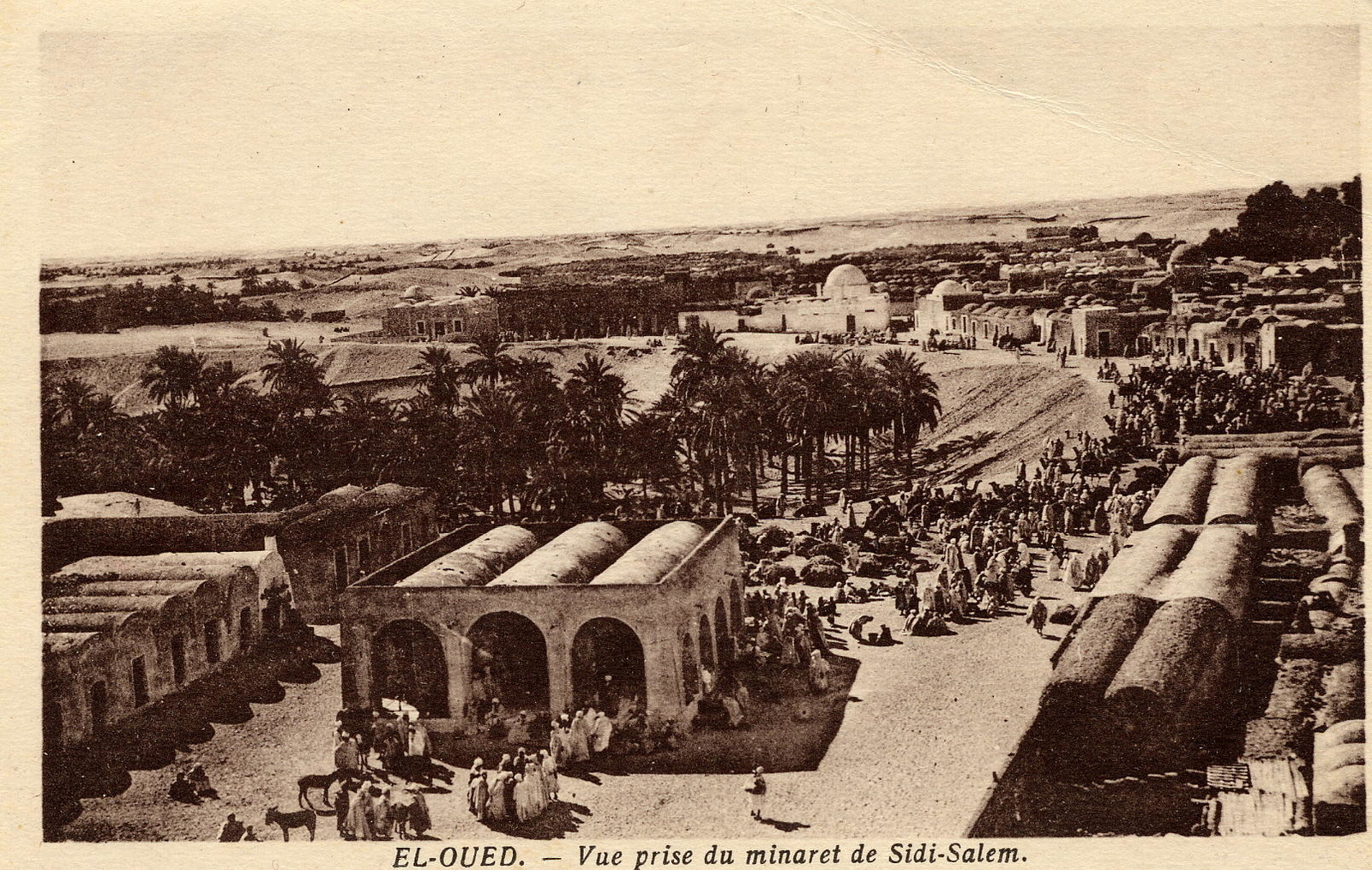 Vue à partir du minaret de Sidi Salem à El Oued