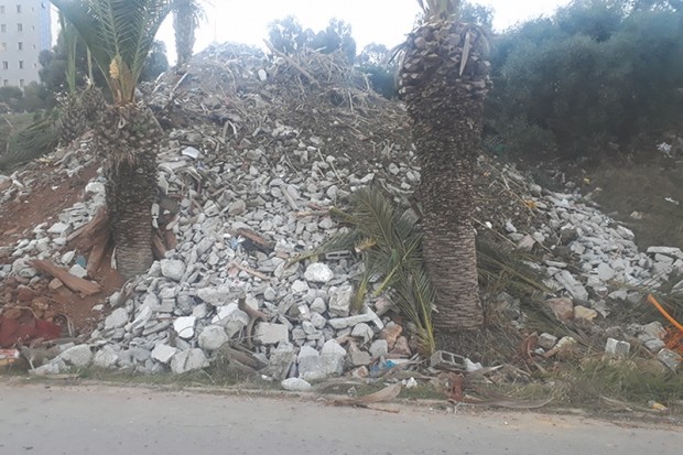 Ben Aknoun (Alger) - Arrêt sur Image: Déversement de chargements de gravats sur des palmiers