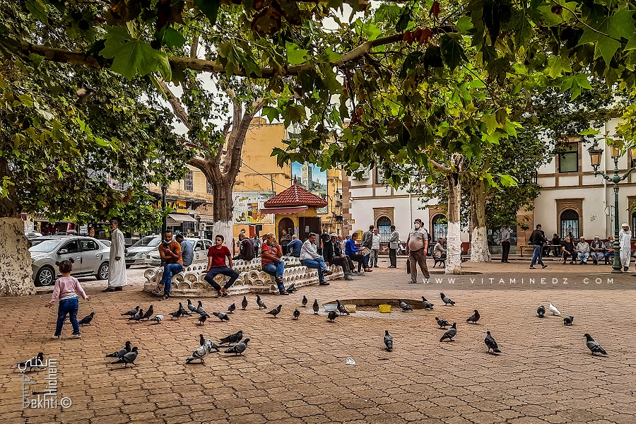 El Blass à Tlemcen avec les pigeons