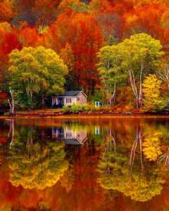 🍁 L’automne au Québec 🇨🇦