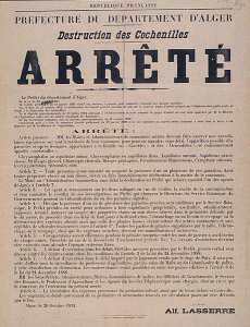 Préfecture du Département d'Alger. Destruction des cochenilles (...)