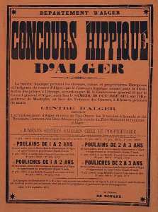 Département d'Alger. Concours hippique d'Alger (...)