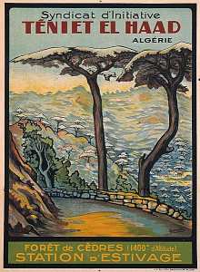 Syndicat d'initiative de Teniet el Haad. Algérie. Forêt de cèdres (1400 m. d'altitude). Station d'estivage.