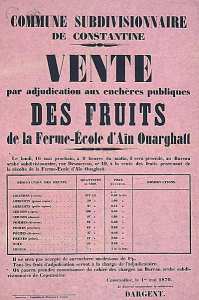 Commune subdivisionnaire de Constantine. Vente (...) des fruits de la ferme école d'Aïn Ouarghatt (...)