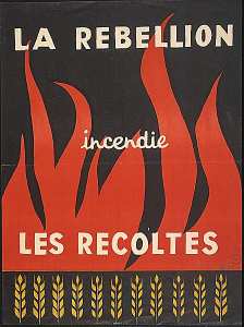 La rébellion incendie les récoltes