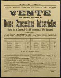 Vente aux enchères publiques de douze concessions industrielles situées dans le centre d' Aïn-El-Arba (commune mixte d'Aïn-Témouchent)