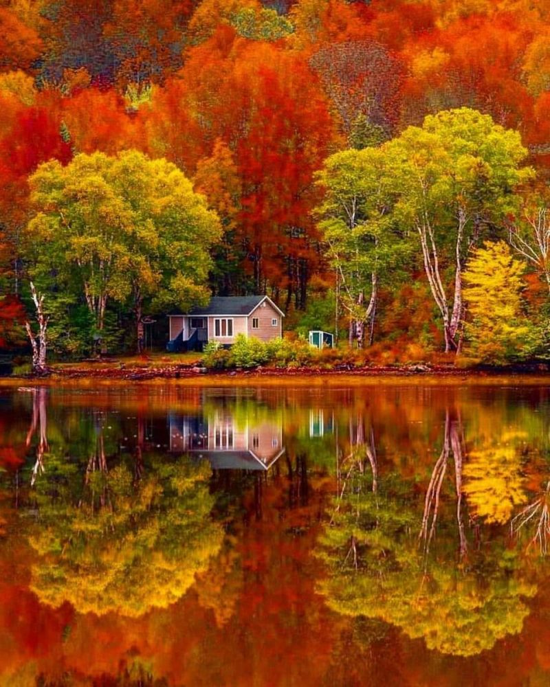 🍁 L’automne au Québec 🇨🇦