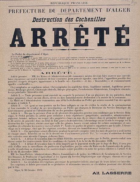 Préfecture du Département d'Alger. Destruction des cochenilles (...)