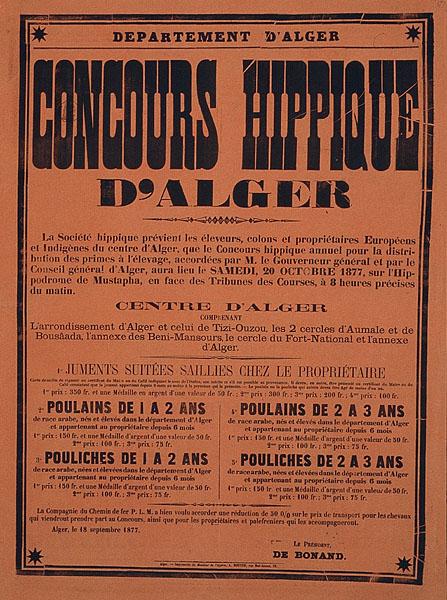 Département d'Alger. Concours hippique d'Alger (...)