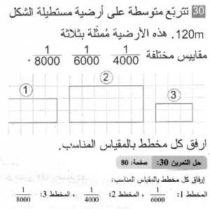 حل التمرين 30 صفحة 80 رياضيات السنة الثانية متوسط