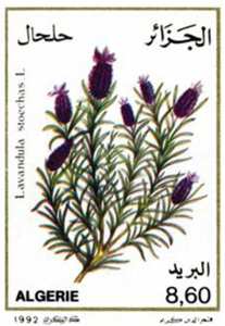 Plantes médicinales