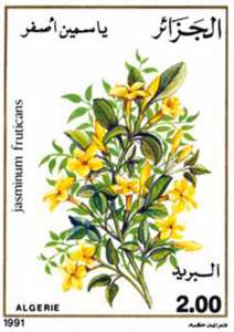 Fleurs (Timbre poste Algérie)