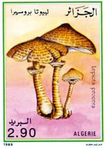 Champignons (Timbre poste Algérie)