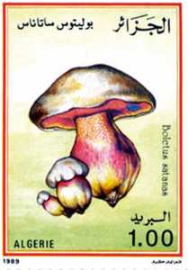 Champignons (Timbre poste Algérie)