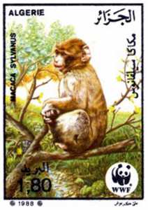 حماية القرد البربري (الماغوت طابع بريدي الجزائر