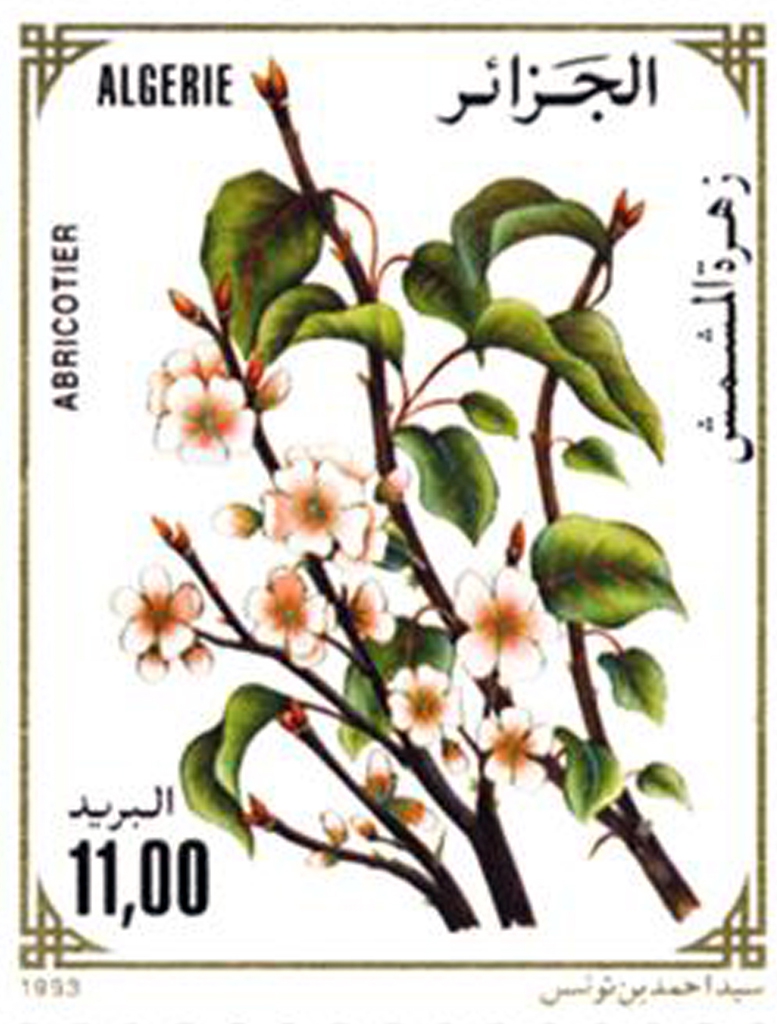 Fleurs d’arbres fruitiers