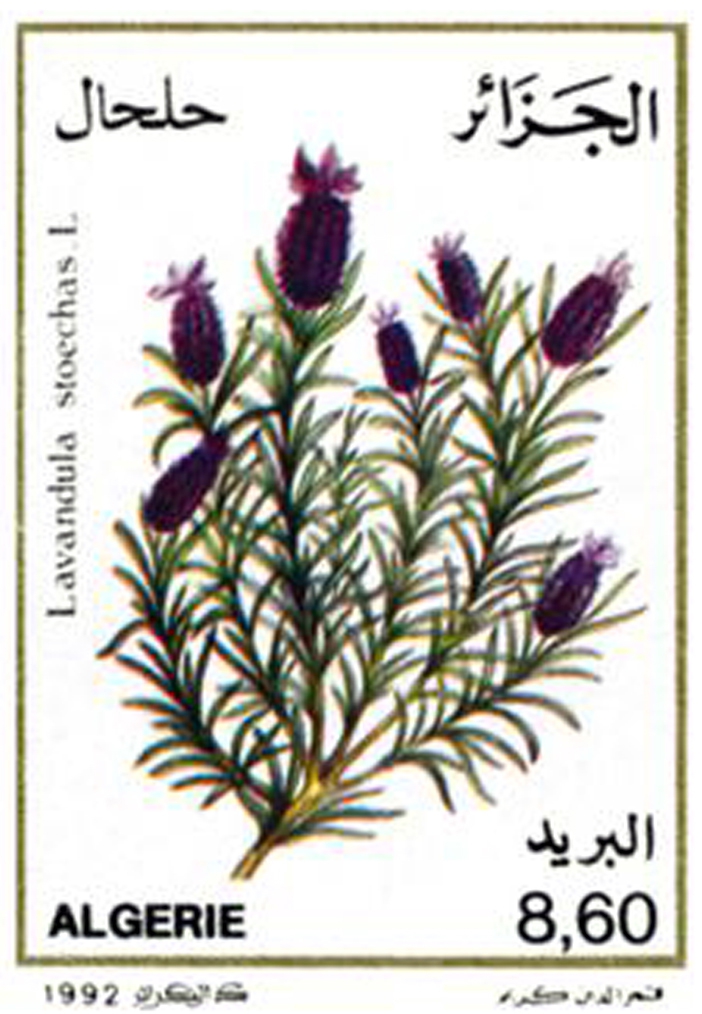 Plantes médicinales