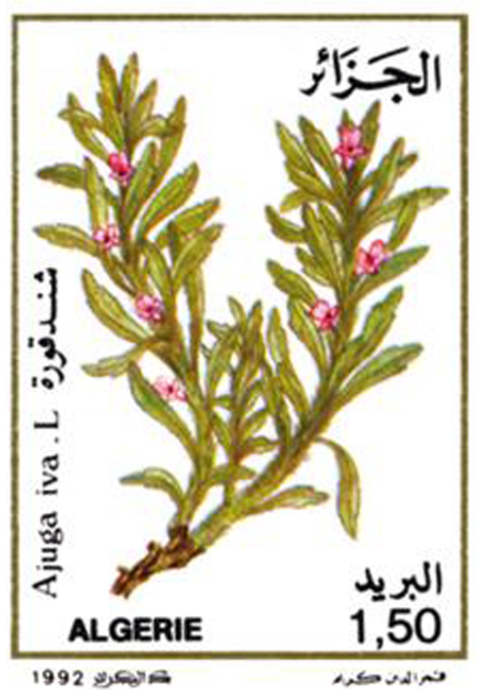 Plantes médicinales