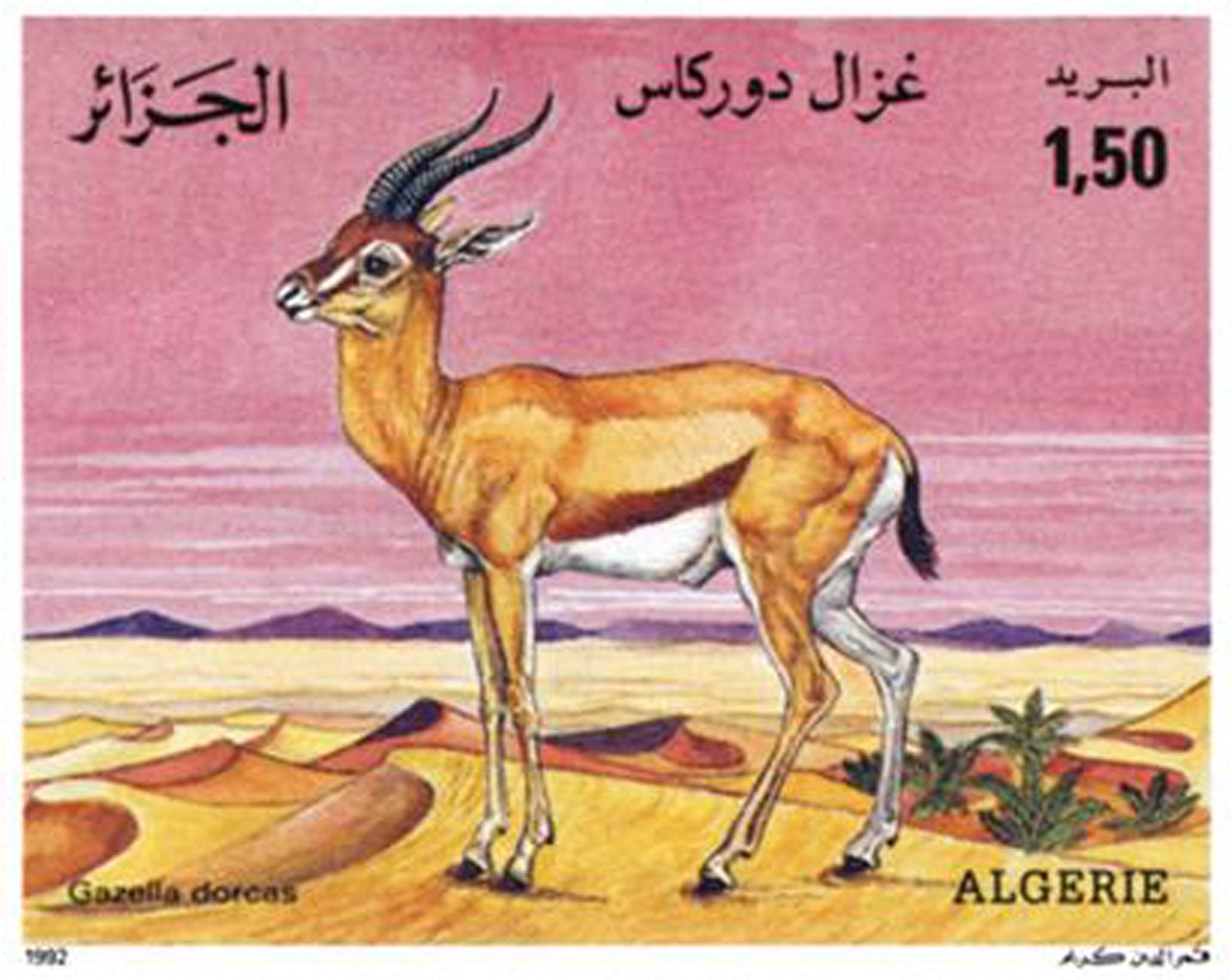 Gazelles – Espèces protégées