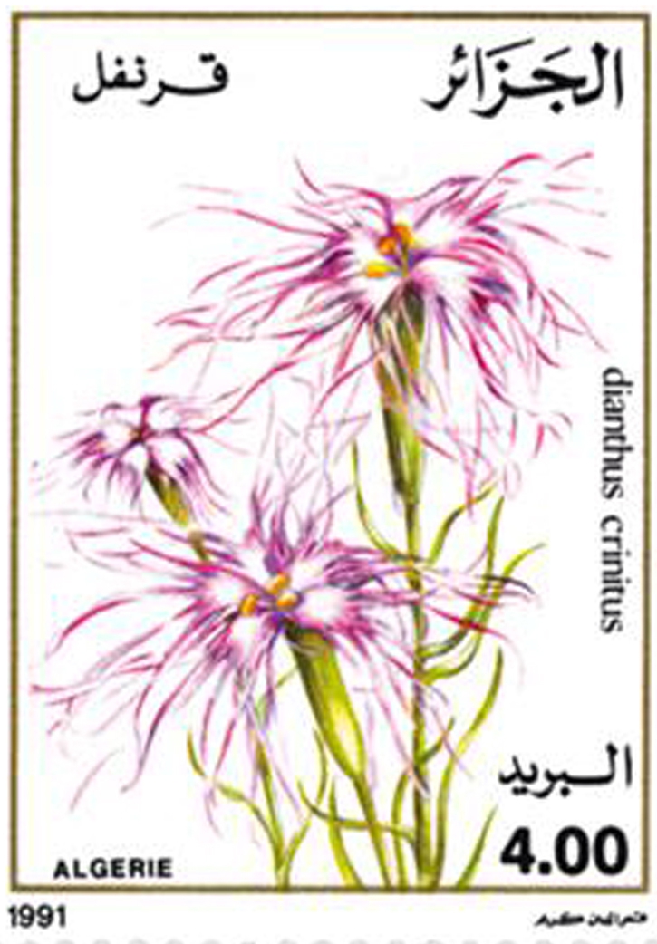 Fleurs (Timbre poste Algérie)