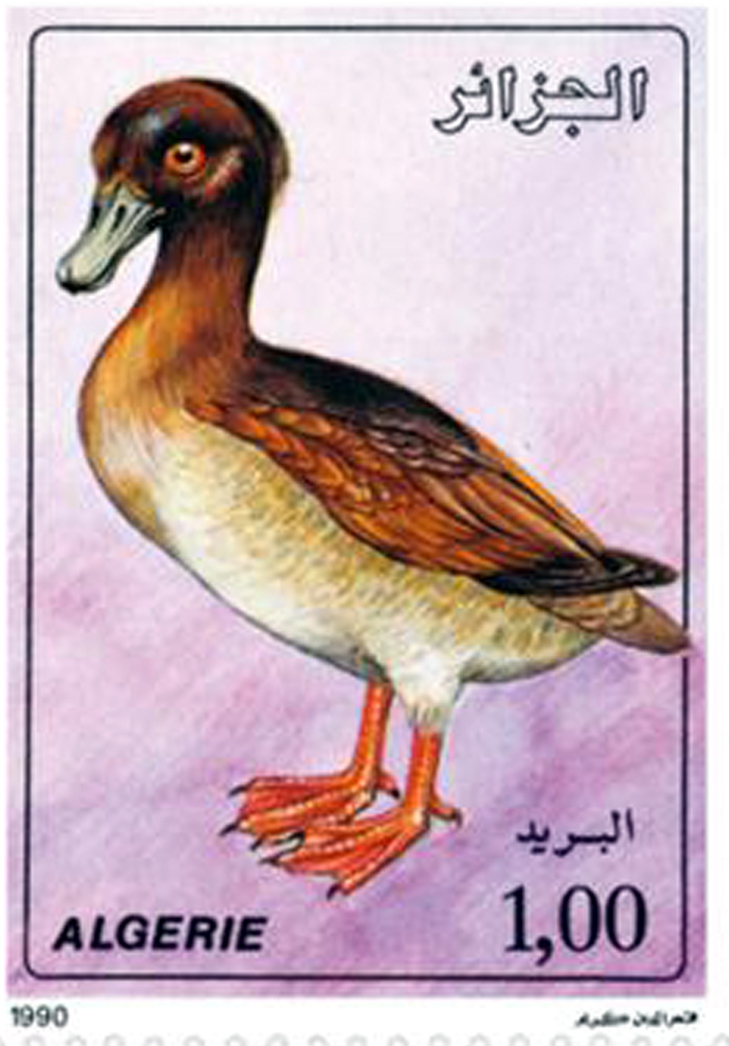 Animaux de basse-cour (Timbre poste Algérie)