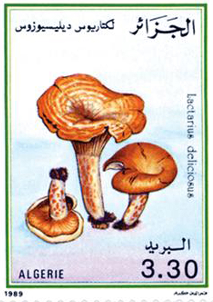 فطريات طابع بريدي الجزائر
