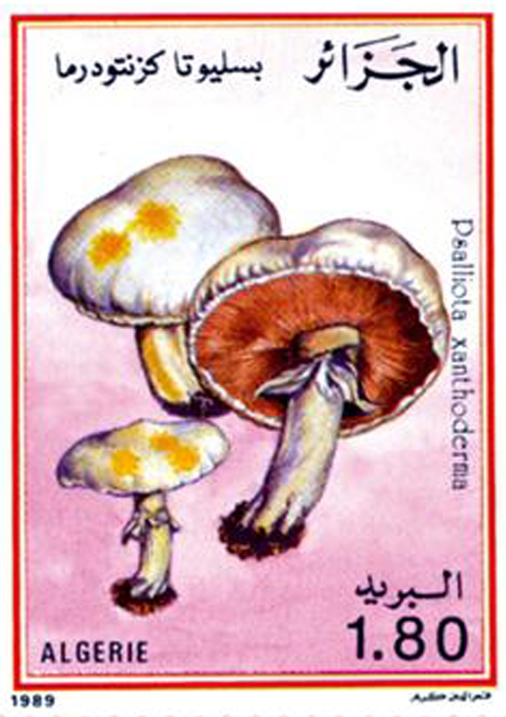 Champignons (Timbre poste Algérie)
