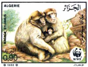 Protection du singe magot (Timbre poste Algérie)