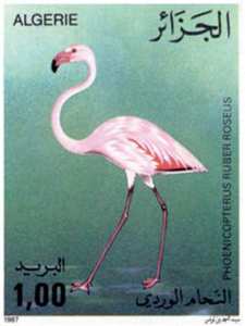 الطيور طابع بريدي الجزائر