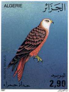 Oiseaux (Timbre poste Algérie)