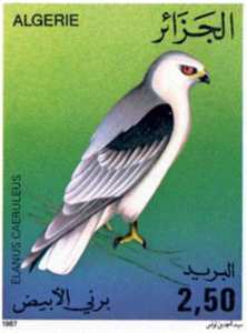 Oiseaux (Timbre poste Algérie)