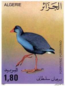 Oiseaux (Timbre poste Algérie)