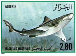 السمك طابع بريدي الجزائر